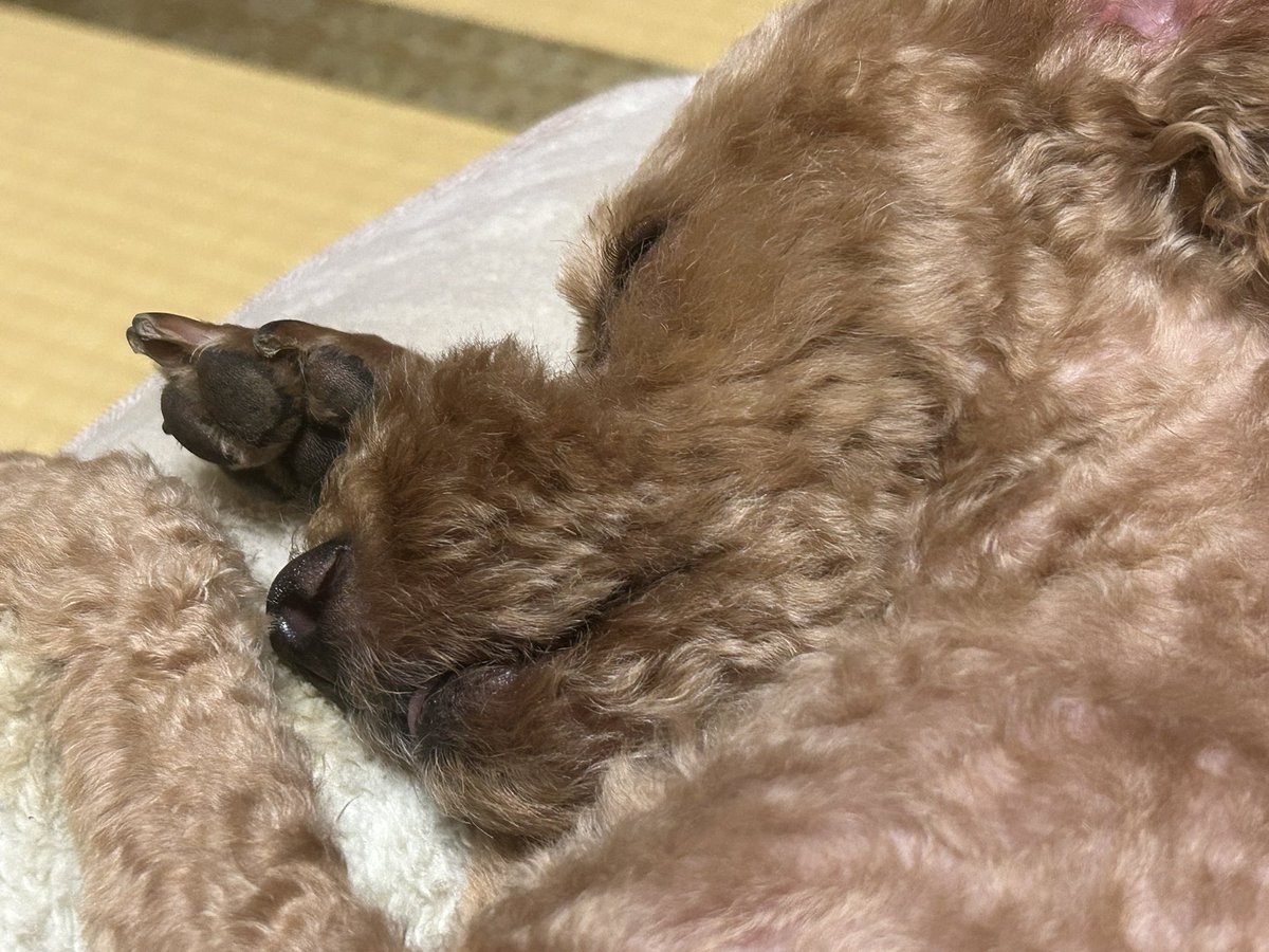 おっはよ☀️
よーく見ると、👅が出てる。笑

豆乳を飲んで今日も元気に頑張ります！
いってきまーす✨