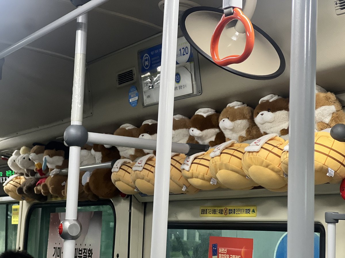 오늘 출근하면서…  🤳 
갑자기 너무 많아져서 당황.