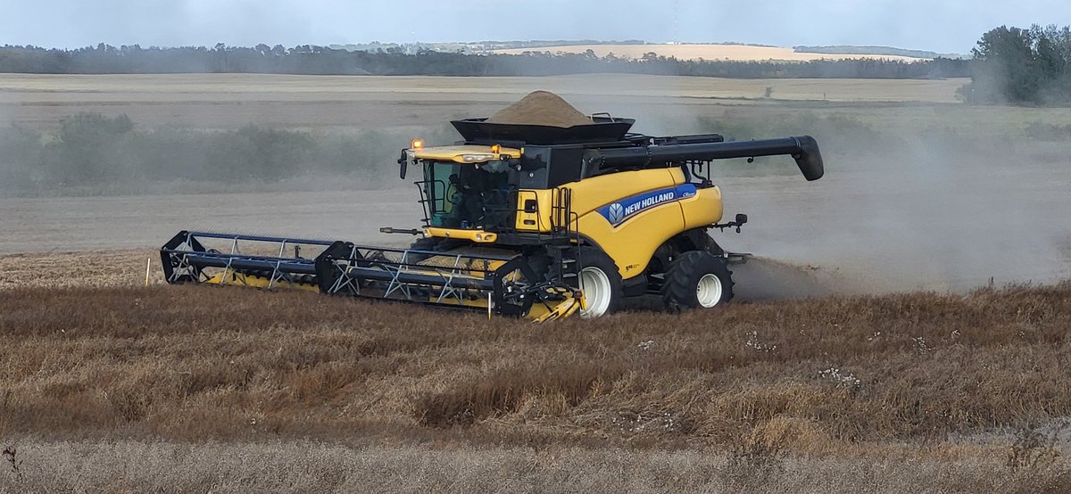 Sheldon Dowling tweet media