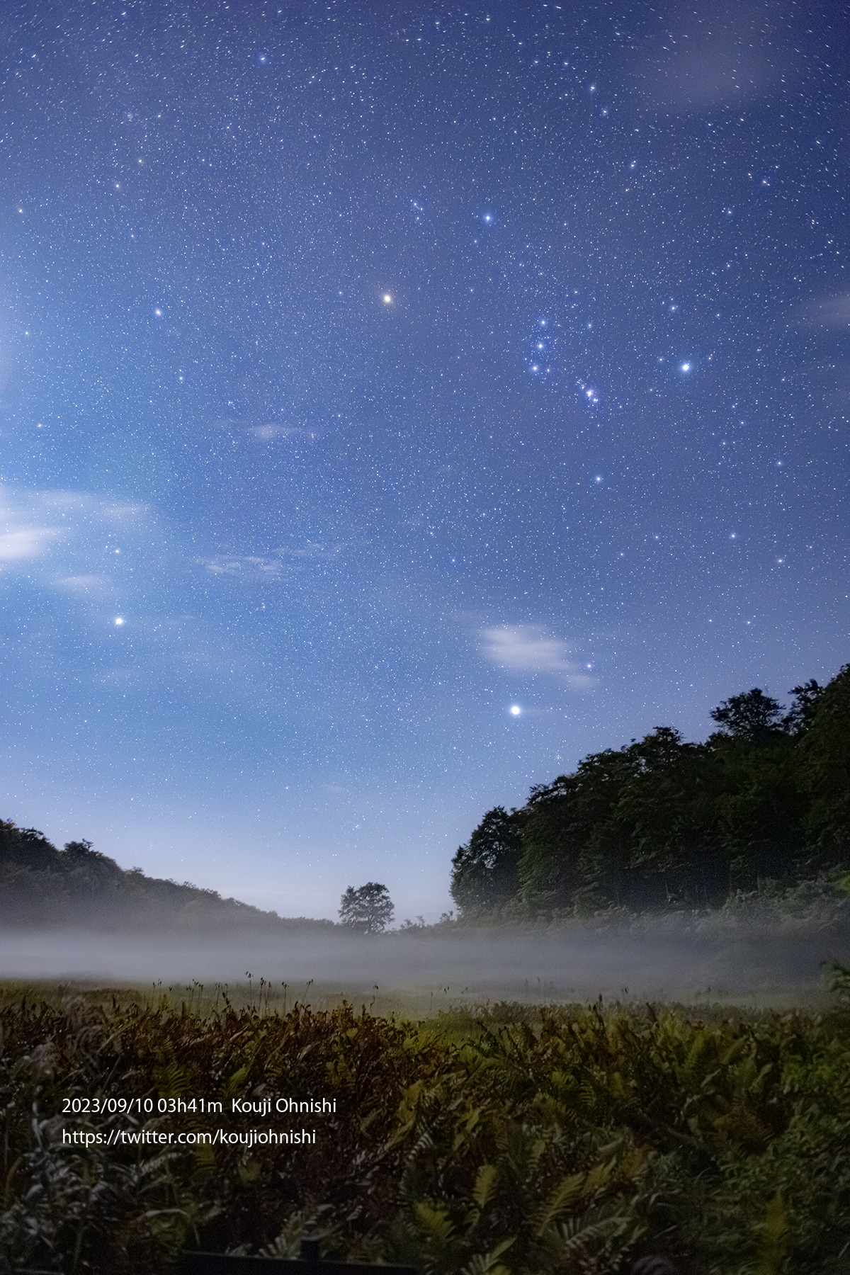 睡蓮の原野　星景ポスター　4枚　日 今日の星景写真 2025年7月20日 「梅雨明けの星空II」 撮影:2015