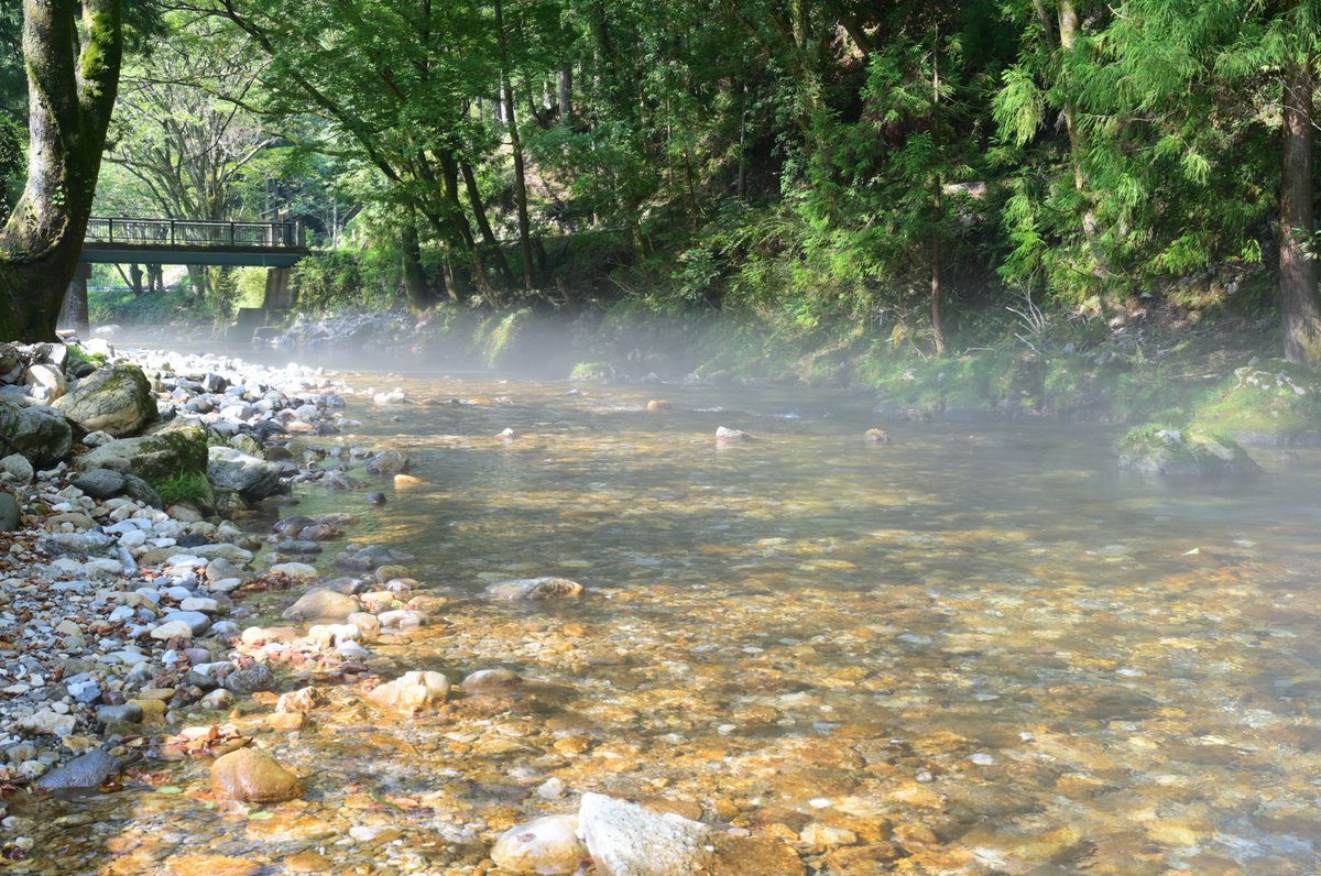 pent_mitchan's tweet photo. 岐阜県山県市　円原川
8月の終わりに https://t.co/o1eKwBJq6j