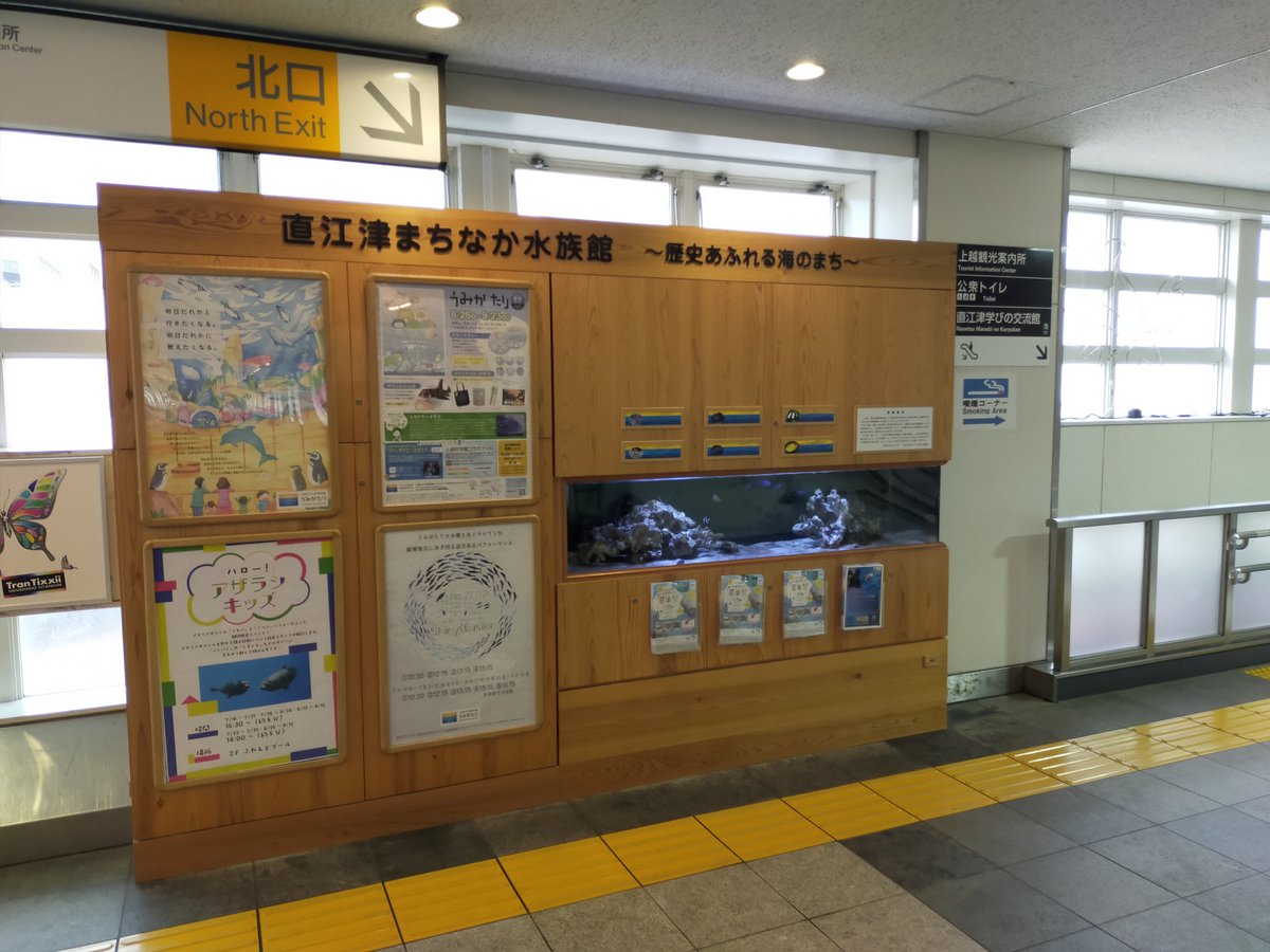 こんなところにも水族館が！