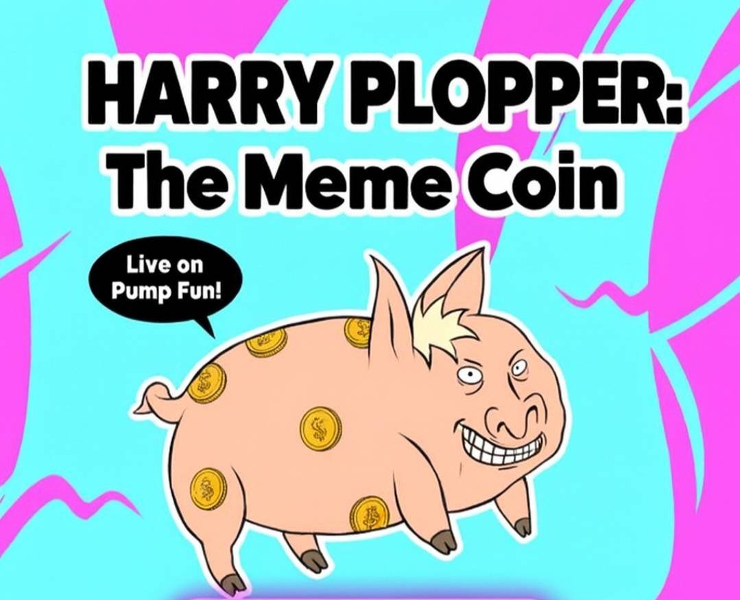 PlopperCoin's tweet photo. We are live on Pumpfun,

We will HODL all the way

CA: FbXY9SJgH7WaMT3EUAFTZXsfwBuBhrvEkA8aDbfXpump

#SOL @pumpdotfun #MemeCoinSeason https://t.co/FXNCsODVtH