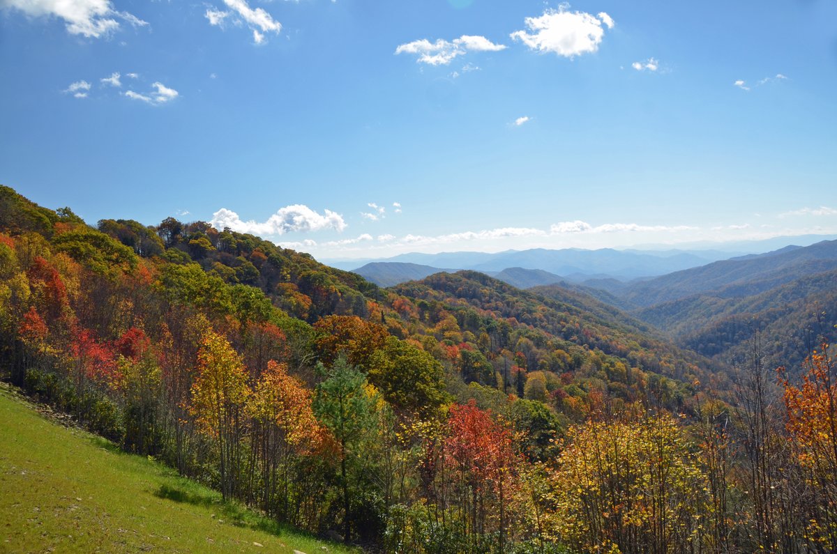 VisitBrysonCity's tweet photo. 🍂 One of our favorite overlooks in Great Smoky Mountains National Park is the Charles Webb Overlook.
📸 (Colors are from a previous year.)
👉 Learn more: https://t.co/29LC2Nnycj
#brysoncity #greatsmokymountainsnationalpark #fallinthesmokies #webboverlook #greatsmokymountains https://t.co/v1MTNCai2a