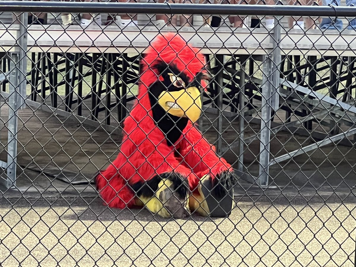 He’s ready! #putmeincoach <a href="/CardFootballBHS/">Brighton Cardinal Football</a>