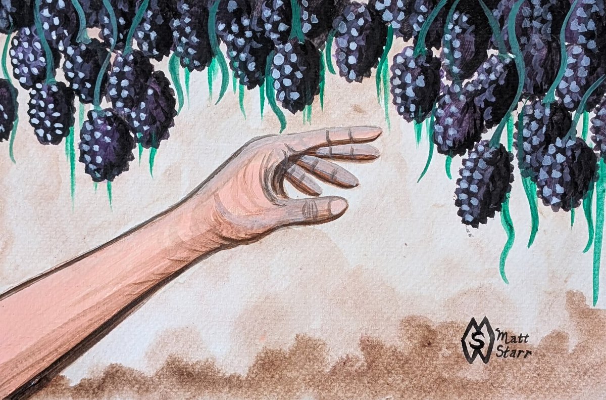 MattStarrFineA1's tweet image. September 12th is National Blackberry Day.  This is my acrylic painting of a person picking big juicy blackberries hanging in the dense brambles. fineartamerica.com/featured/picki… 

#mattstarrfineart #art #blackberry #blackberries #berry #berries #fruit #fruits #food #foodie #pickberries