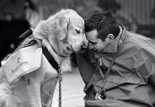 Çehov günlüğüne şu cümleyi yazmış... İyi bir insan utanç duyabilmeli, bir köpeğin karşısında bile...