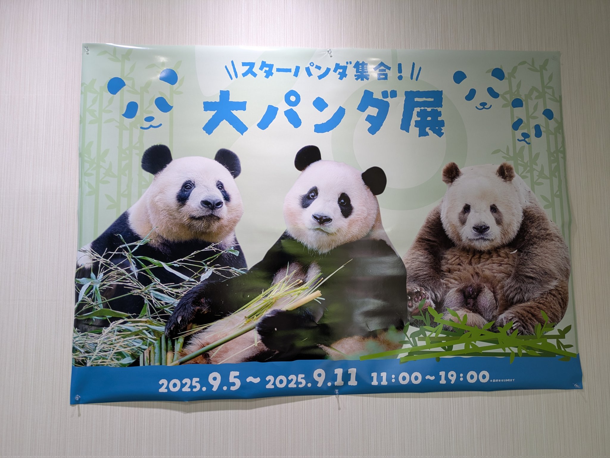 ジャイアントパンダ ポスター(昭和当時品)