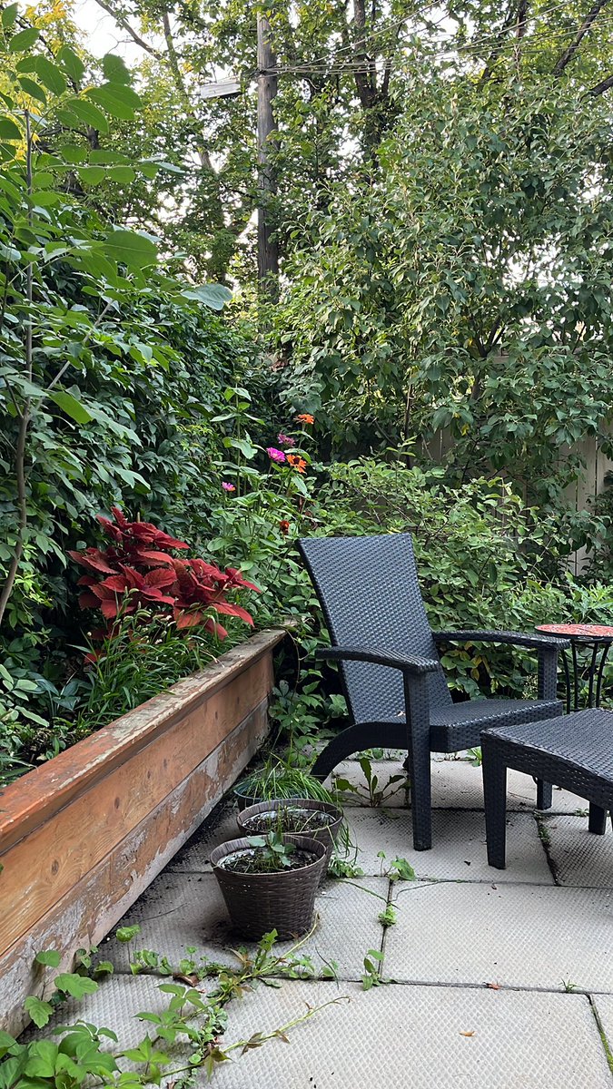 The week ends. I settle in a backyard chair. And breathe.