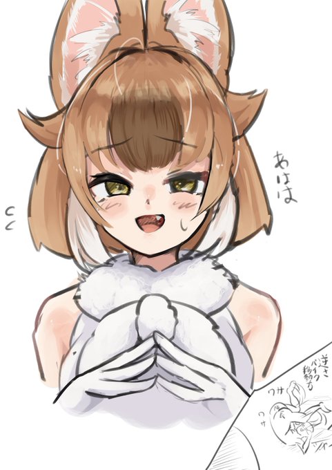 どるちゃどんびき 