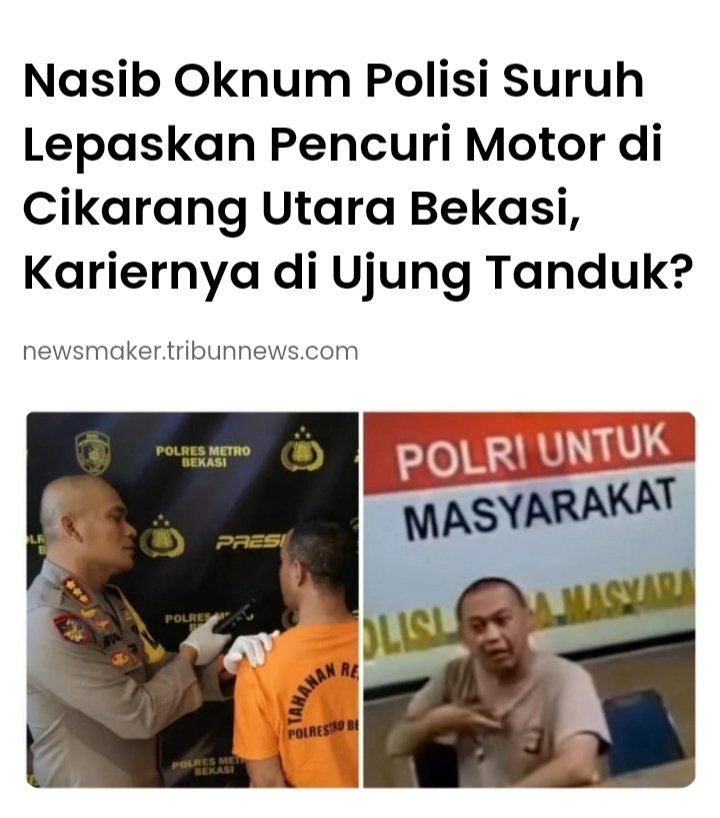 HUMOR JON TAMPAN tweet media