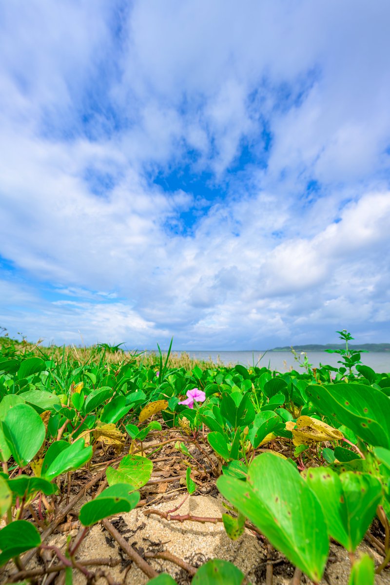 airspook3677's tweet photo. ほっとする景色 https://t.co/xKI1eh2lf8