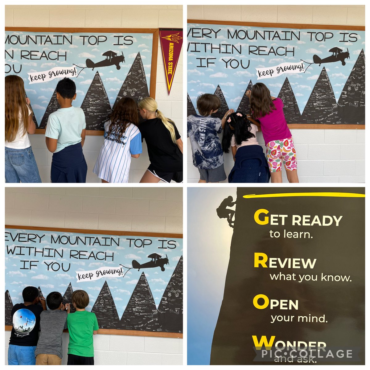 Danielle Evangelista tweet media