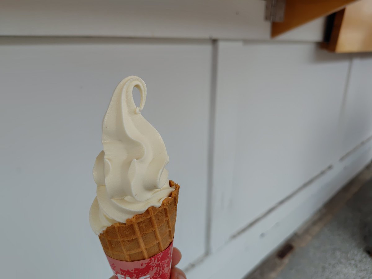 参拝後に、おやきと栗ソフトをさくっと完食。どちらも本当にペロリで、一瞬でなくなりました。