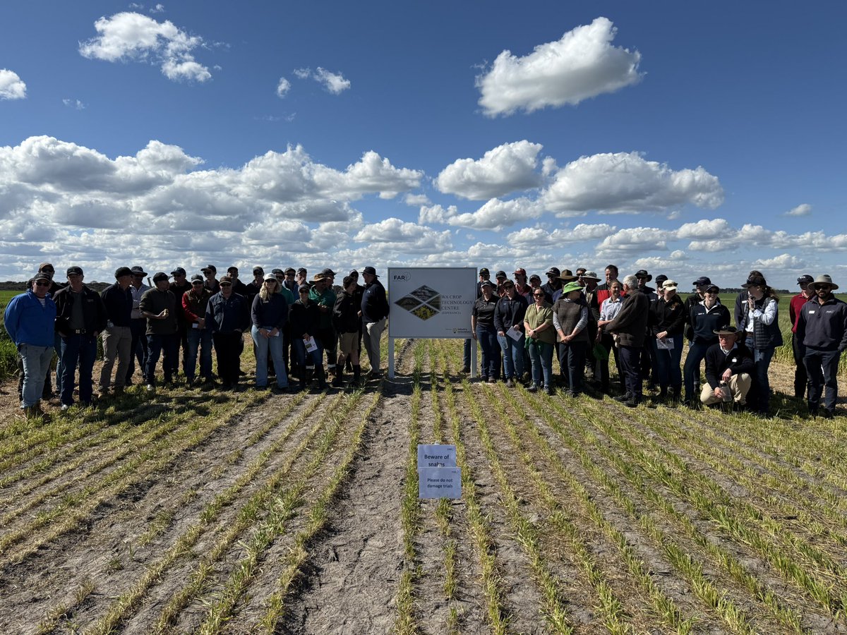 A very big thanks to all who supported us over the last 2 weeks at the FAR Australia Esperance and Frankland River Field Days. Great to see so many of you there when we know how busy you are.Heading east to Yarrawonga next, see you there on 2nd Oct.<a href="/theGRDC/">GRDC</a> <a href="/far_australia/">FAR Australia</a>