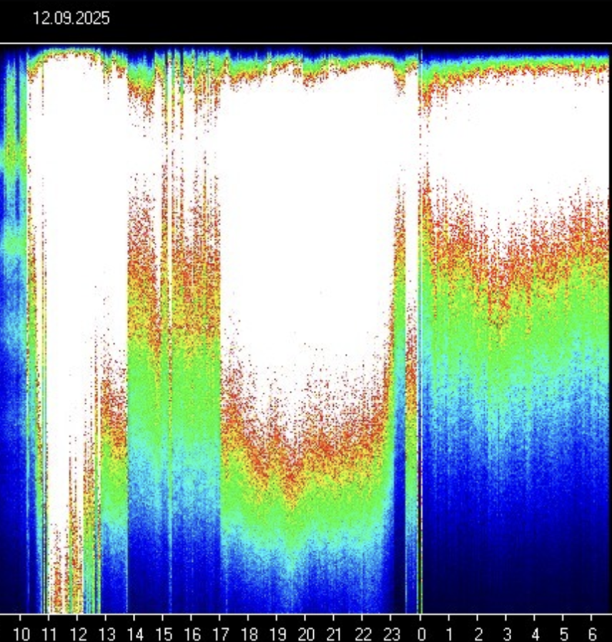 Is anyone else feeling this too? 

My head is pounding like it’s about to burst, my ears feell like ringing  pressure cooker, and no matter how drained I am, I still can’t  sleep. 😫

This is insane!