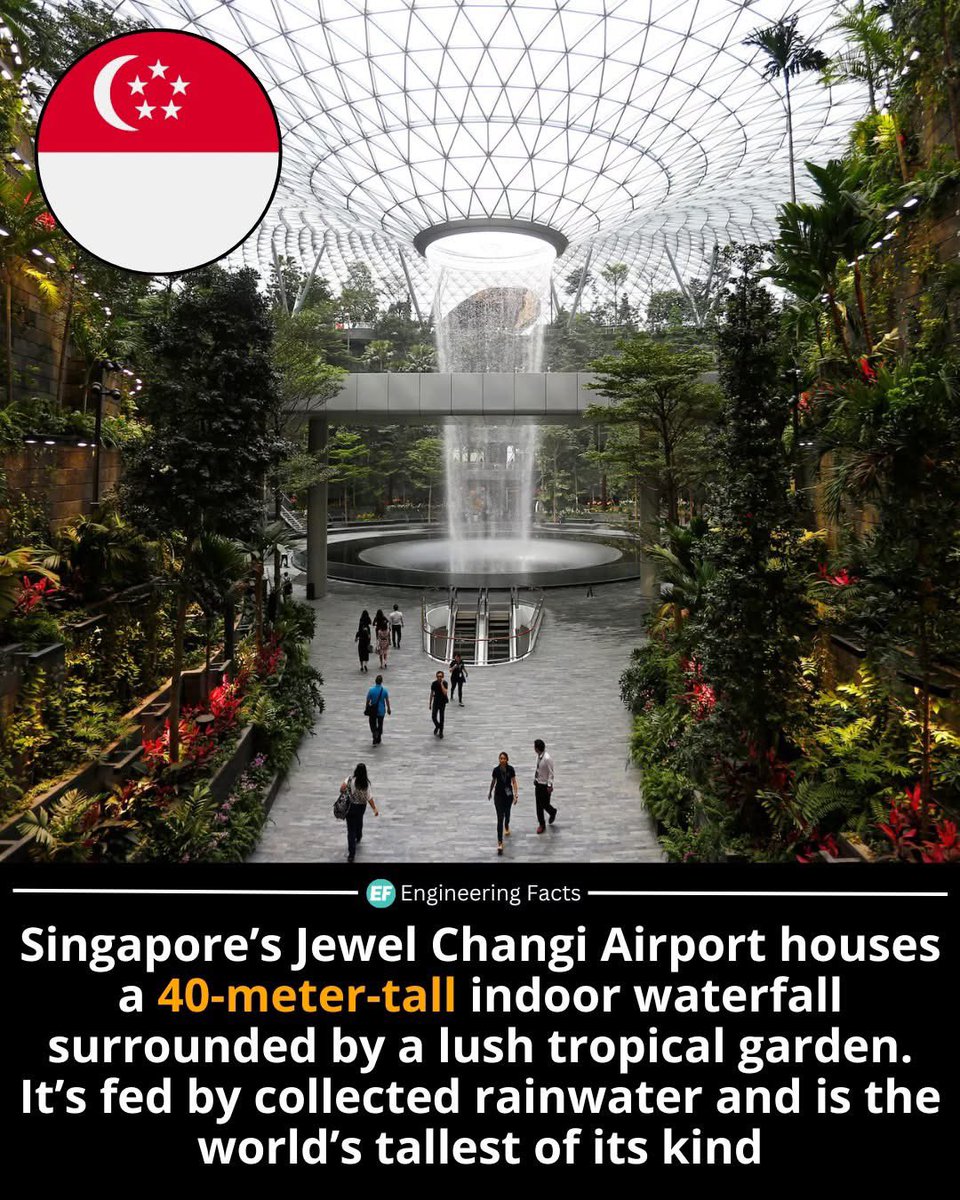 dokodemositter's tweet image. おはようございます☀️

叔母が👧をJewel🇸🇬に連れて行ってくれました✨
滝を眺めながらランチタイム🫣贅沢な😬

世界最大級の屋内滝「Rain Vortex」（高さ40m！）は、昼は迫力の滝、夜は光と音のショーに大変身🌈
実はこの滝、雨水を再利用したサステナブルな仕組みで作られているんです🤓