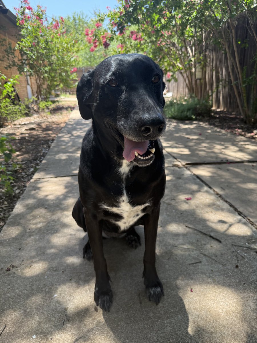 Chris Huber tweet media