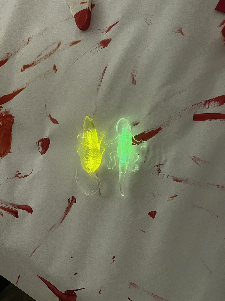 Shantel N. Patt tweet media