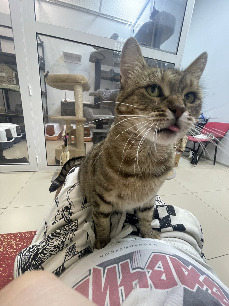 Eugene Kibets (@eugenehmg) on Twitter photo 