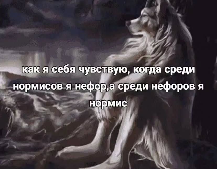 🐸Великое Колено🐸 (@great_knee) on Twitter photo 