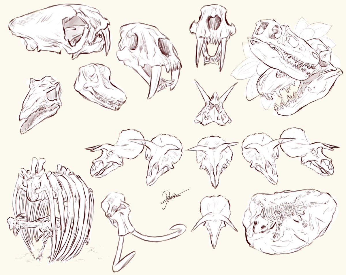 TheSpaceRae's tweet image. Old teacher absolutely hated seeing these on my maths hw 🥰#FossilFriday