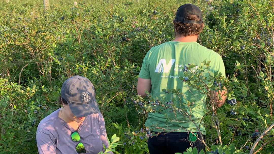 Employee volunteers joined <a href="/FulfillNJ/">Fulfill</a> in #ForkedRiverNJ to help harvest fresh blueberries donated by FullBlue 360. The berries were distributed to local households in need, supporting Fulfill’s mission to fight food insecurity. 🏠💙

It’s always meaningful to take part in efforts