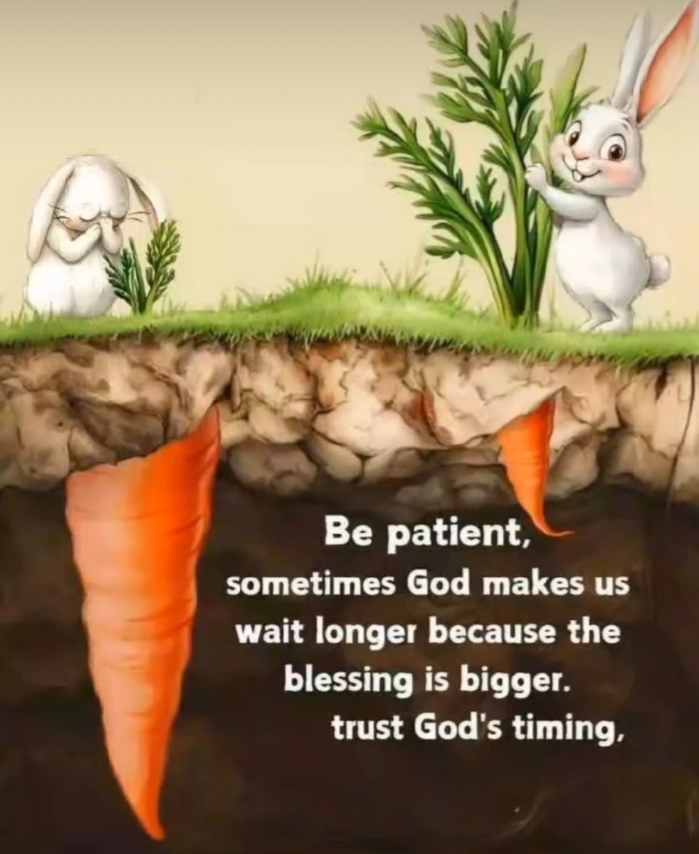 Mind Essentials (@mind_essentials) on Twitter photo 