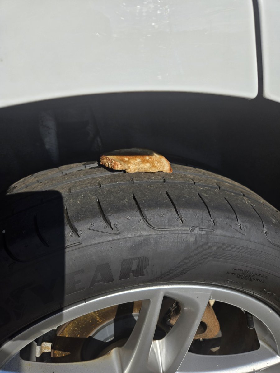 Which one of you virgins hit me with the "buttered toast on top of the car tire" prank?