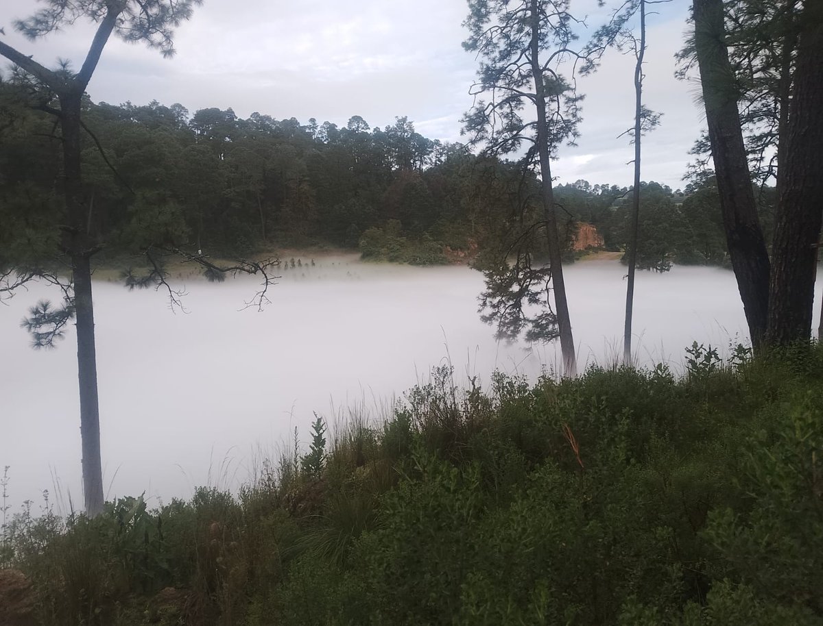 Milenio's tweet photo. 🔴 Fuga de gas de toma clandestina causa desalojo de tres mil personas en Nanacamilpa, Tlaxcala

El gobierno del estado detalló que se trató de una presunta toma clandestina en un ducto de Pemex en terrenos de la comunidad de Domingo Arenas.
https://t.co/s8Y1Y6so0E https://t.co/h8hOnIhP5N