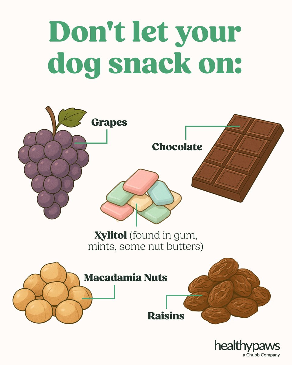 Healthy Paws, a Chubb Company tweet media