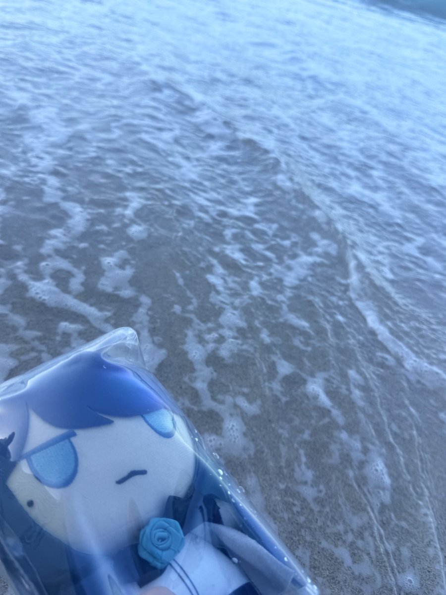 ハワイの思い出ですよ