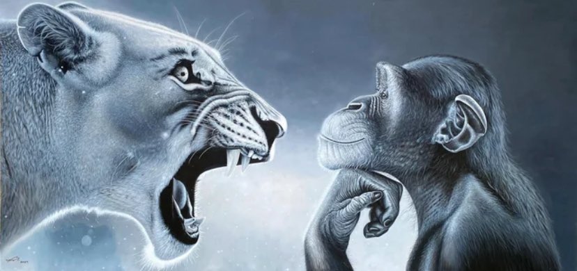 Mi madre sigue jodiendo ya fue hace media hora fue la pelea