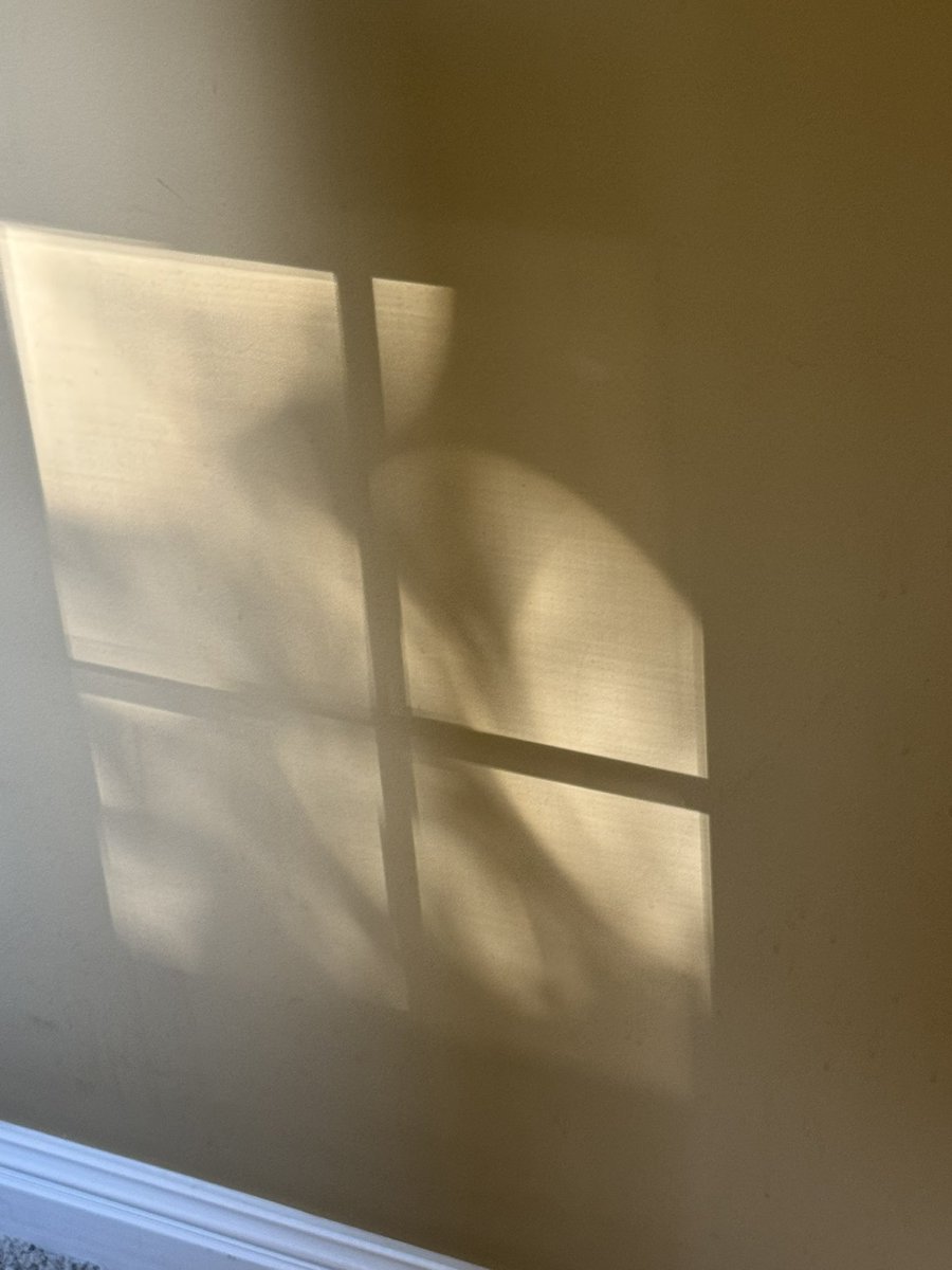 Stupid window reminding me the Nintendo direct was ASS