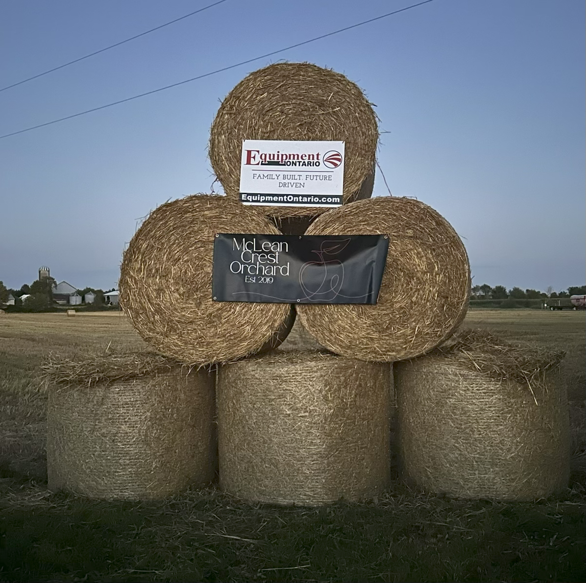 Where will we see you this weekend?  🐮ྀི🍂🎡

Fergus Fall Fair,  Wellington County Plowing Match, McLean Crest Farms Orchard Days, Beeton Fall Fair, Lindsay Exhibition,  Chatsworth Country Fair, Harriston-Minto Fair, Shelburne Fall Fair, Oro World's Fair,  Milverton Fair