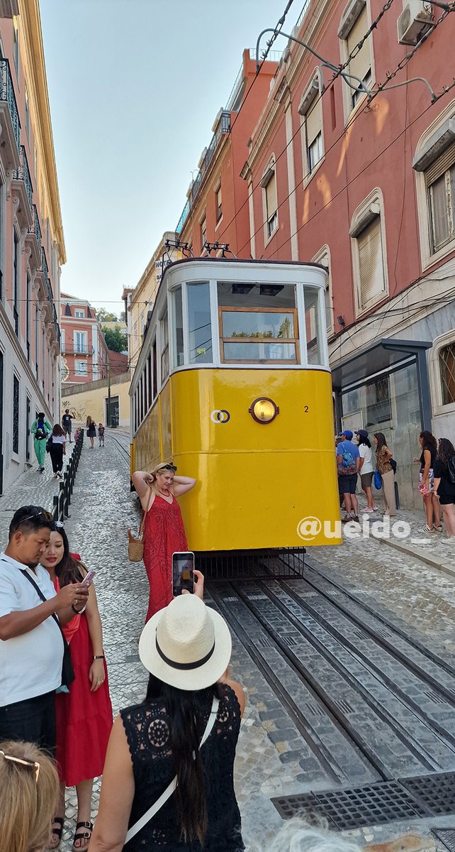 ueido_'s tweet photo. 12. Glória Funicular
(A lil hesitant to share this one given the recent tragic accident 💔 but Portugal’s trams, like this historic funicular, weave through the city’s hills and are such a big part of its charm n character)
#뿅뿅지구오락실 #지구오락 #EarthArcade https://t.co/lgz3vklzH8