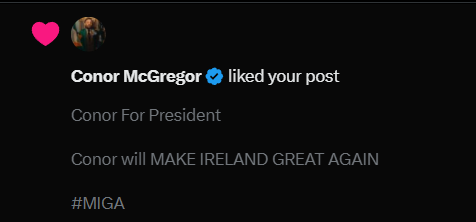 Make Ireland Great Again tweet media
