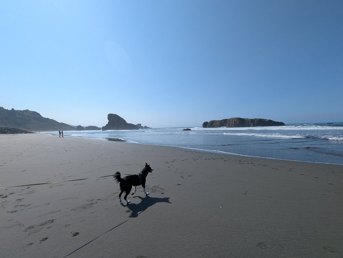 turfmow's tweet photo. Road tripping down the coast with the fam is a beautiful thing. Uhauling it to the newest chapter in our book of life. #pacific #SBbound https://t.co/QZbLFn5udz