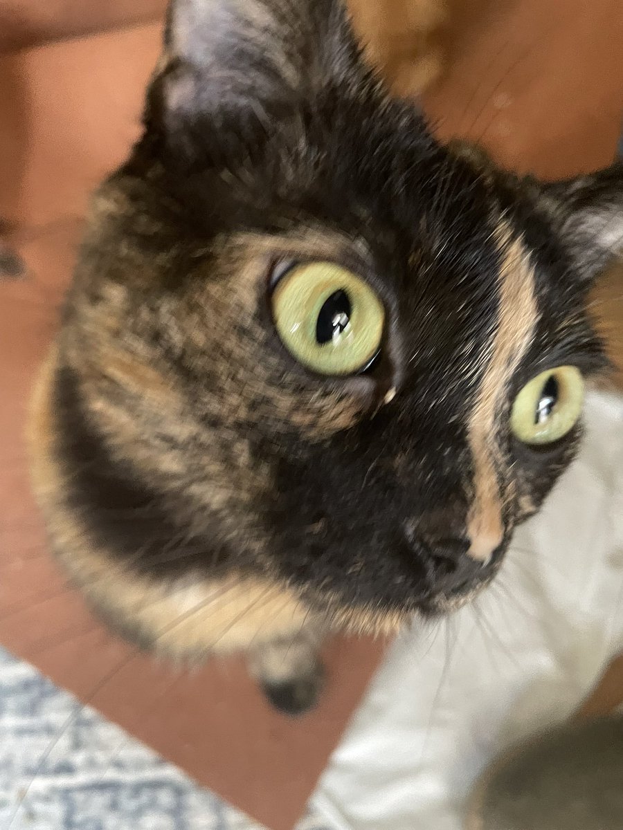 Back4Soup's tweet image. 