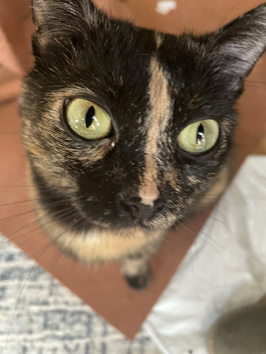 Back4Soup's tweet image. 