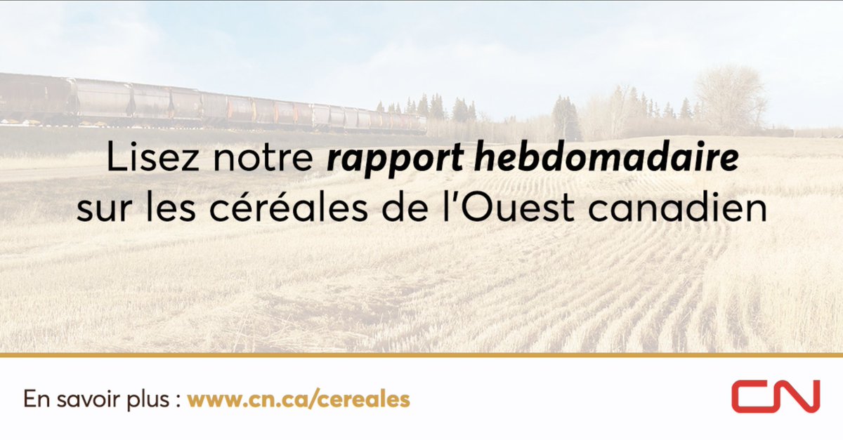 Notre rapport hebdomadaire sur le transport des céréales de l'Ouest du Canada est maintenant disponible. Apprenez-en plus sur la semaine 5 de la campagne agricole ici : cn.ca/fr/votre-indus…