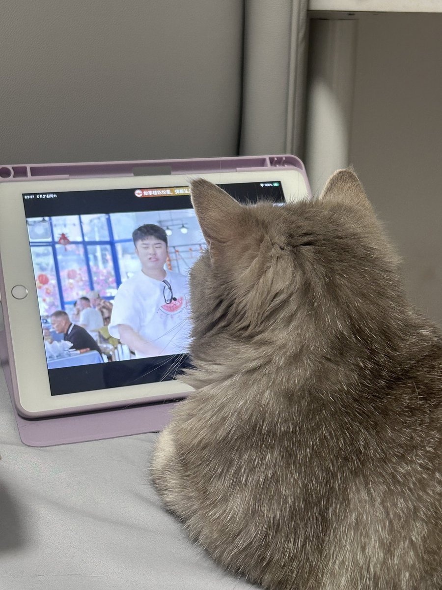 yesbb0707's tweet photo. 咪想一直陪着你 https://t.co/O89I5vucxx