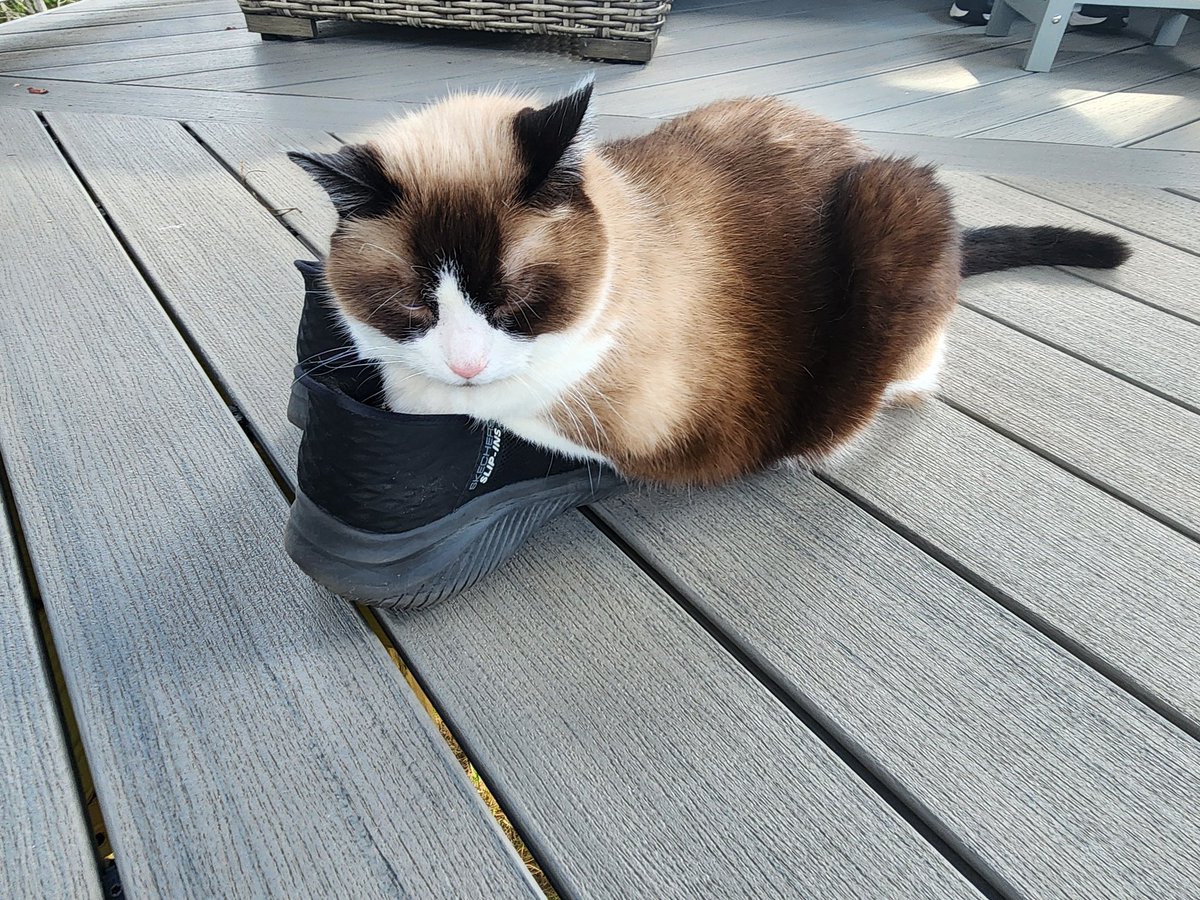 Sir Can Pirate tweet media