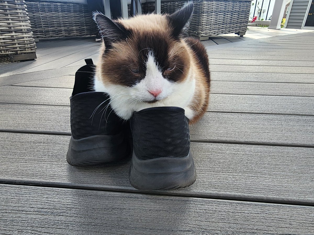 Sir Can Pirate tweet media