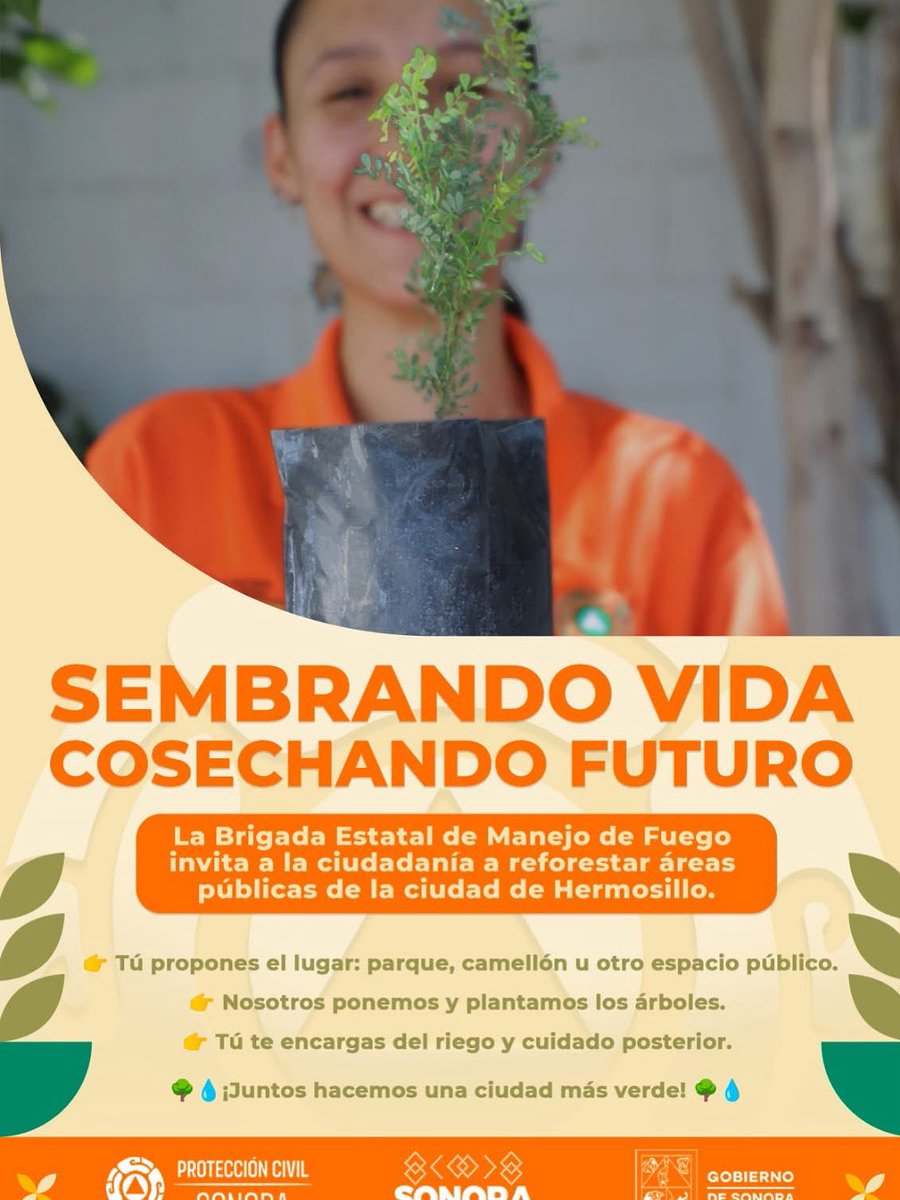 La Brigada Estatal de Manejo de Fuego de Sagarhpa y Protección Civil Sonora, realiza acciones de reforestación.