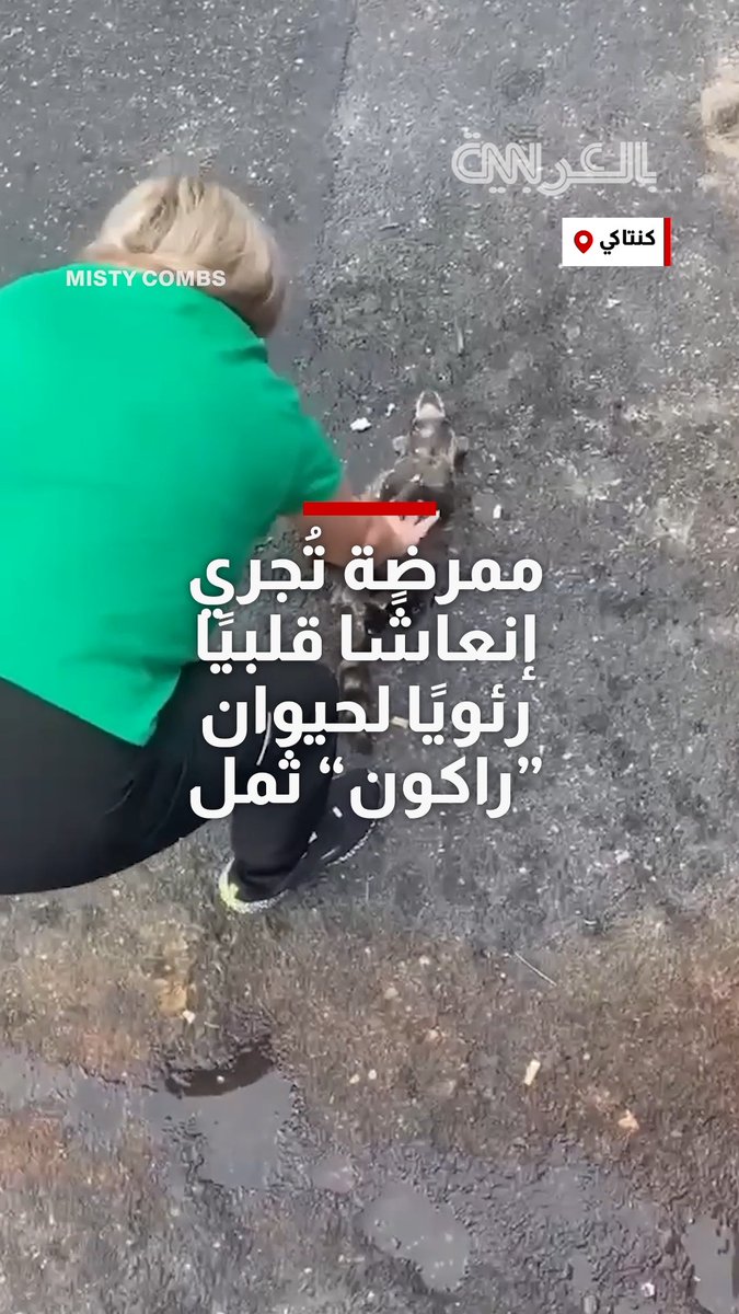 كان فاقدًا للوعي.. ممرضة تُجري إنعاشًا قلبيًا رئويًا لحيوان "راكون" ثمل 