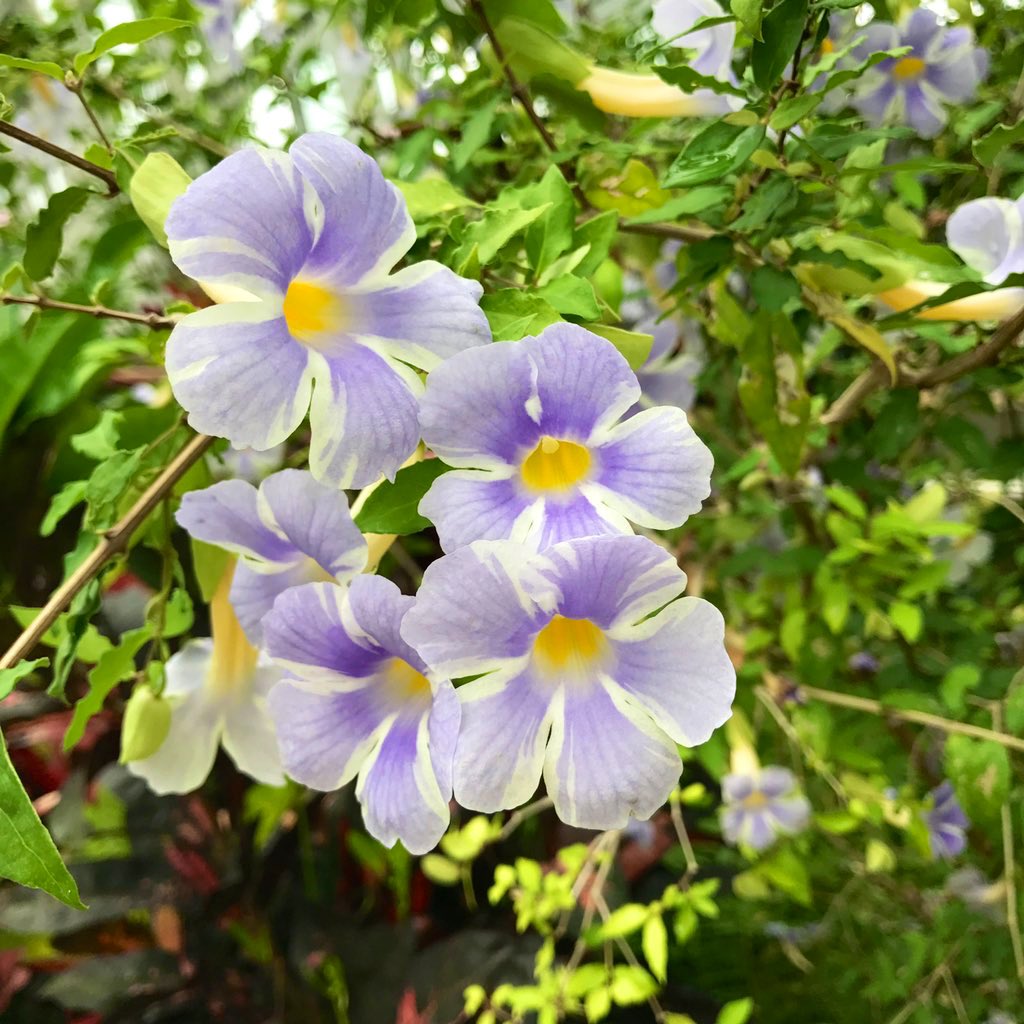 un_sept's tweet photo. おはよう♪♪ https://t.co/wejz5W2uaA