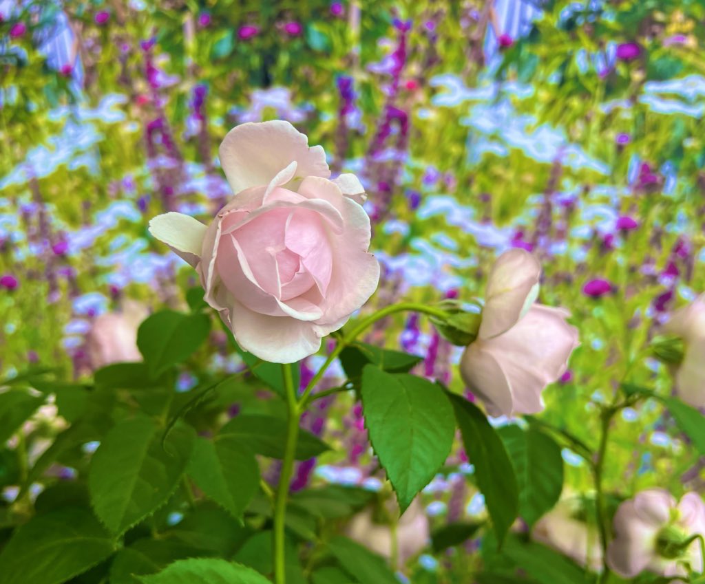 un_sept's tweet photo. おはよう♪♪ https://t.co/wejz5W2uaA