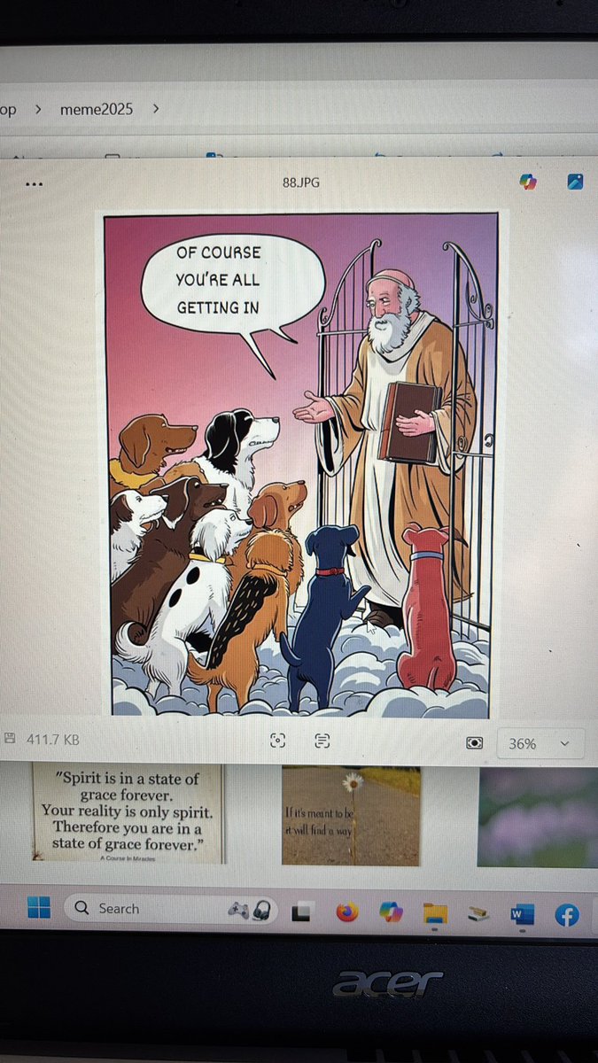 Just some thoughts on losing a pet