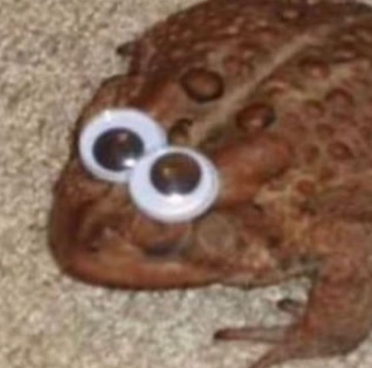 SPYRO (@spyr0_crypto) on Twitter photo $TIBBIR // Day 5 of no context frog.
 > no context frog 
 ๐ธ $TIBBIR // Day 5 of no context frog.
 > no context frog 
 ๐ธ